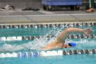Swimming & Diving vs Babson  Swimming & Diving vs Babson College. - Photo by Keith Nordstrom : Wheaton, Swimming